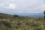 20070729g_CotopaxiParamo