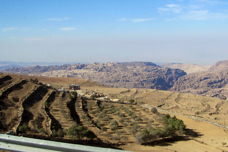 20110102b_JordanOliveGrove
