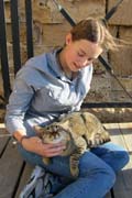 20101226g_S_CaesareaCat