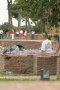 20120604j_SM_RomePalatinePigeon